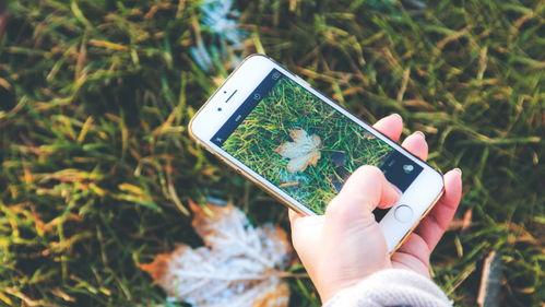 手机看片福利盒子永久国产免费,永久免费国产片库等你探索 第3张 手机看片福利盒子永久国产免费,永久免费国产片库等你探索 第3张